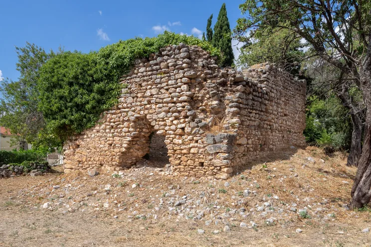 Ερειπωμένος πέτρινος τοίχος μεσαιωνικού κτίσματος στη Χαλανδρίτσα, ανάμεσα στα δέντρα