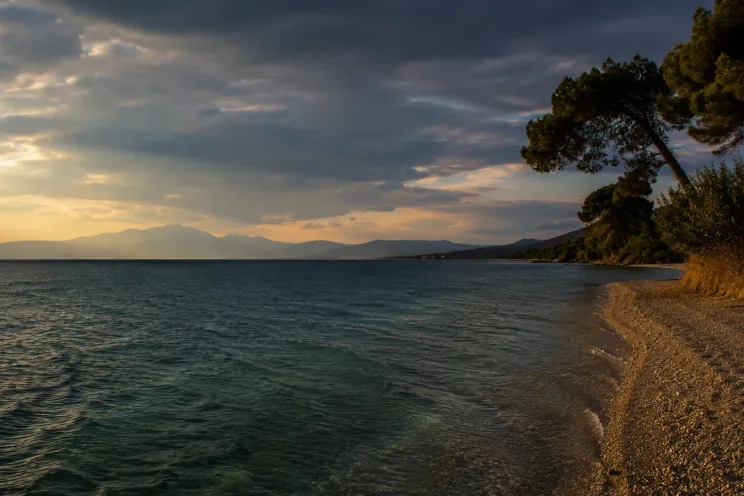 Η παραλία των Βαλιμιτίκων στο σούρουπο, με πεύκο στην ακτή και τον Κορινθιακό